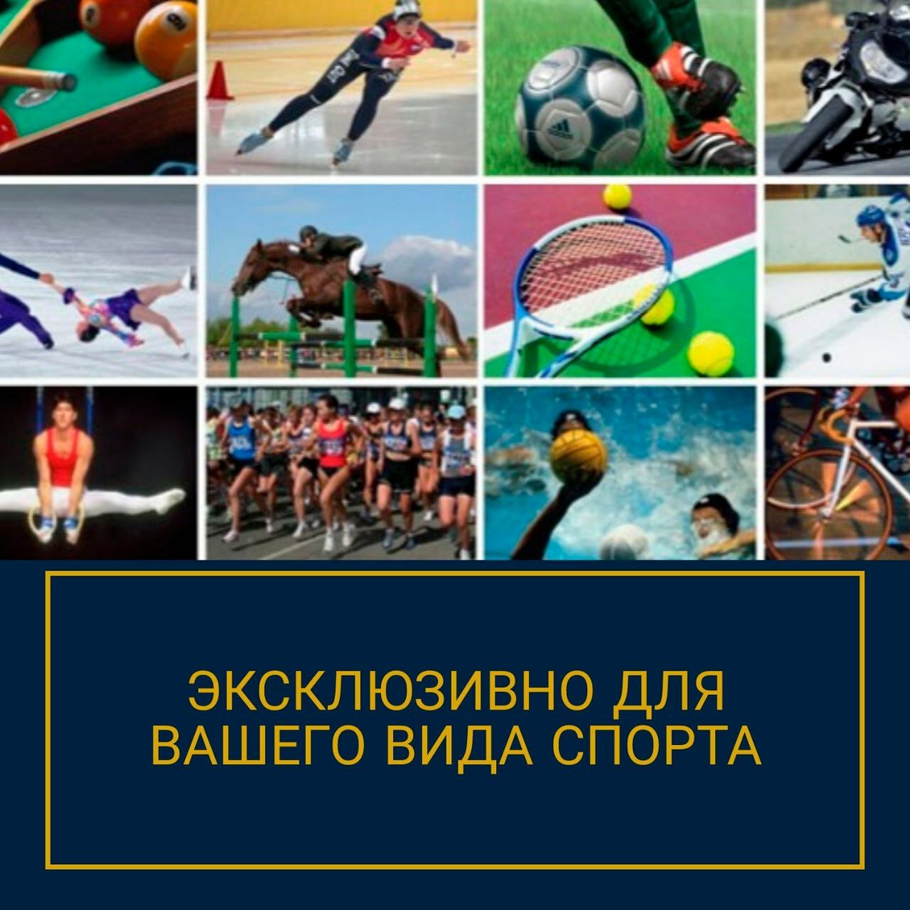 психологические особенности видов спорта Особенности психологической подготовки спортсменов. психолог для борцов, тхэквондо, пловцов, волейболистов, Елена Войнова сайт, Елена Войнова соцсети, психологическая помощь спортсменам, работа с родителями спортсменов, страх перед соревнованиями, волнение перед стартом, перестать бояться ошибки в спорте, страх повторной травмы, как управлять гневом на тренировке и соревновании,панические атаки у спортсмена, потеря мотивации к тренировкам, спортивное выгорание, как перестать сравнивать себя с другими, как поставить цель в спорте, проблемы в общении с тренером, как справиться с давлением тренера и родителей, атмосфера в команде, психолог для спортсмена после травмы, восстановление после травмы спортсмена, завершение спортивной карьеры психолог, выбрать вид спорта для ребенка психолог